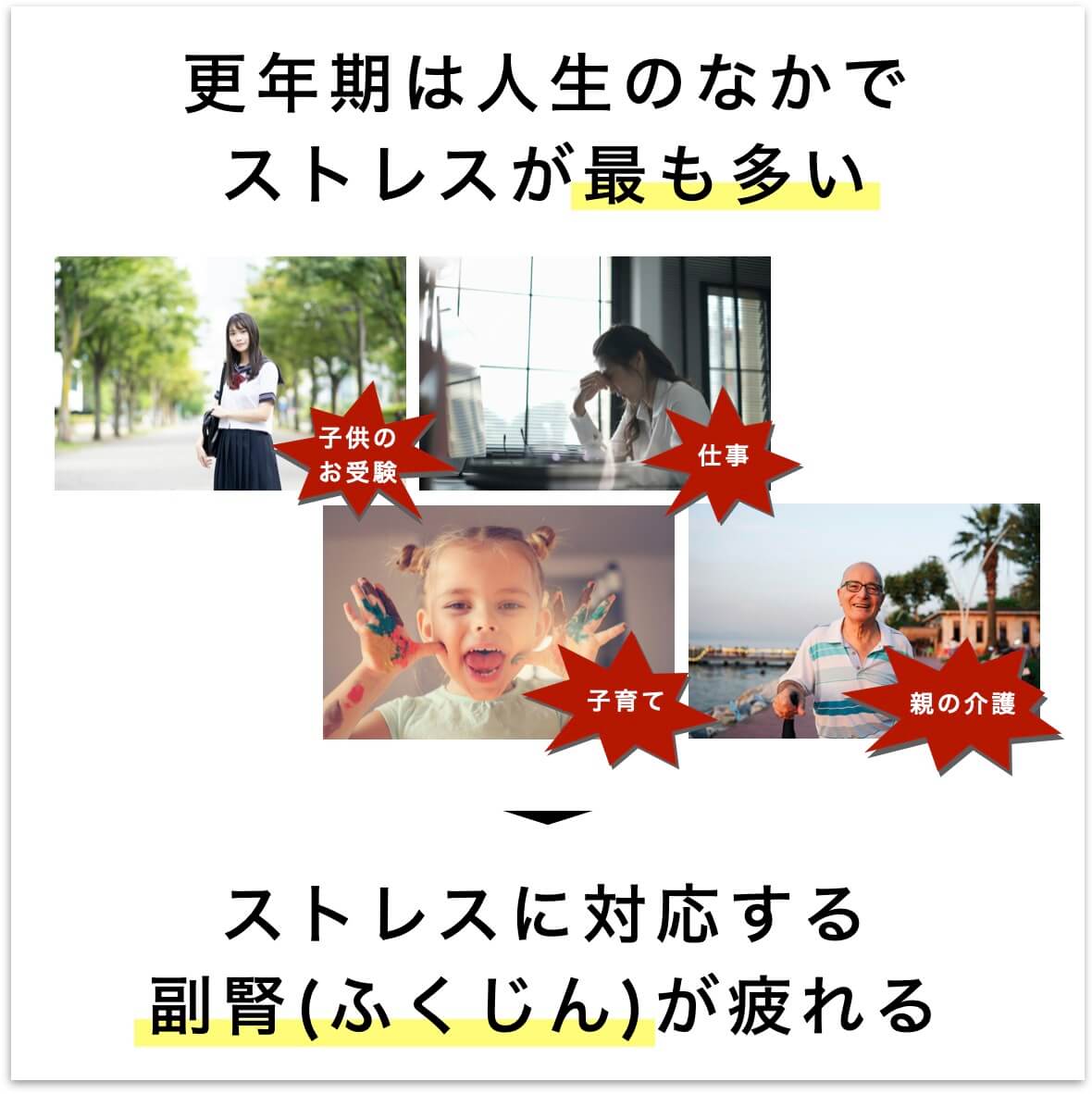 更年期はストレスが多くて副腎が疲れる