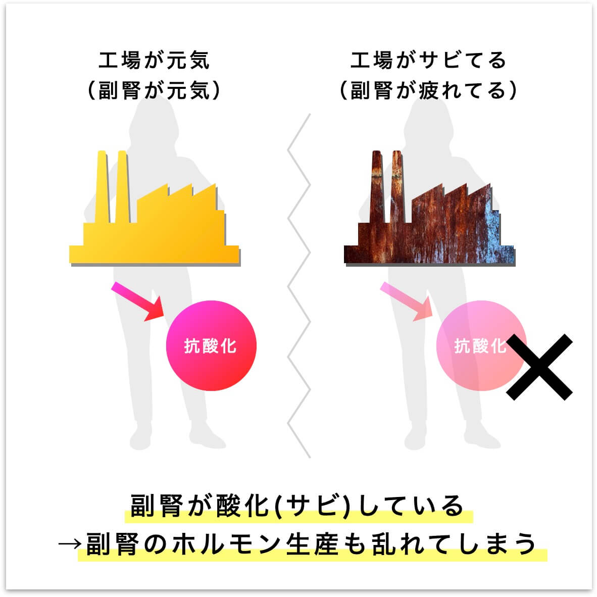 副腎が酸化してホルモン生産が乱れる図