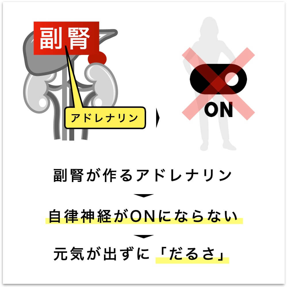 アドレナリンの生産が乱れてだるさを感じる図