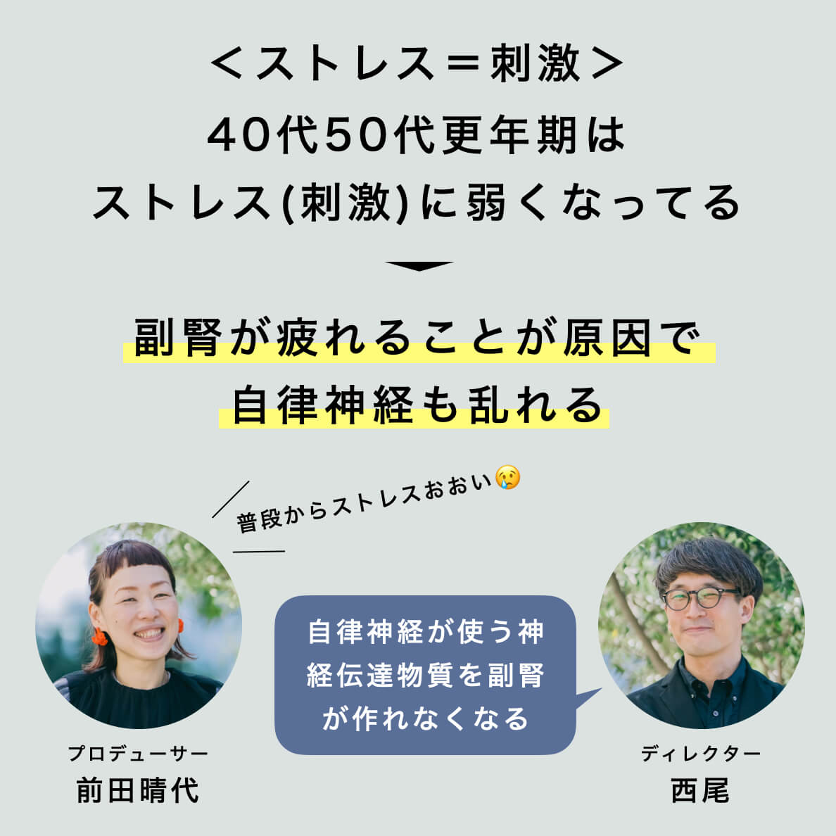 ほてりと自律神経の関係を説明した図