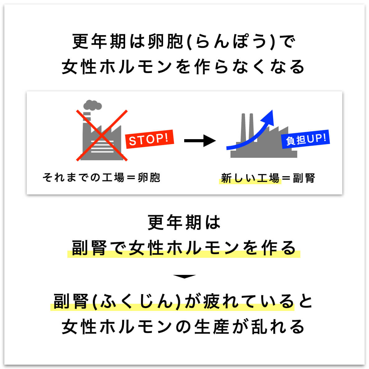 更年期の女性ホルモン事情を説明