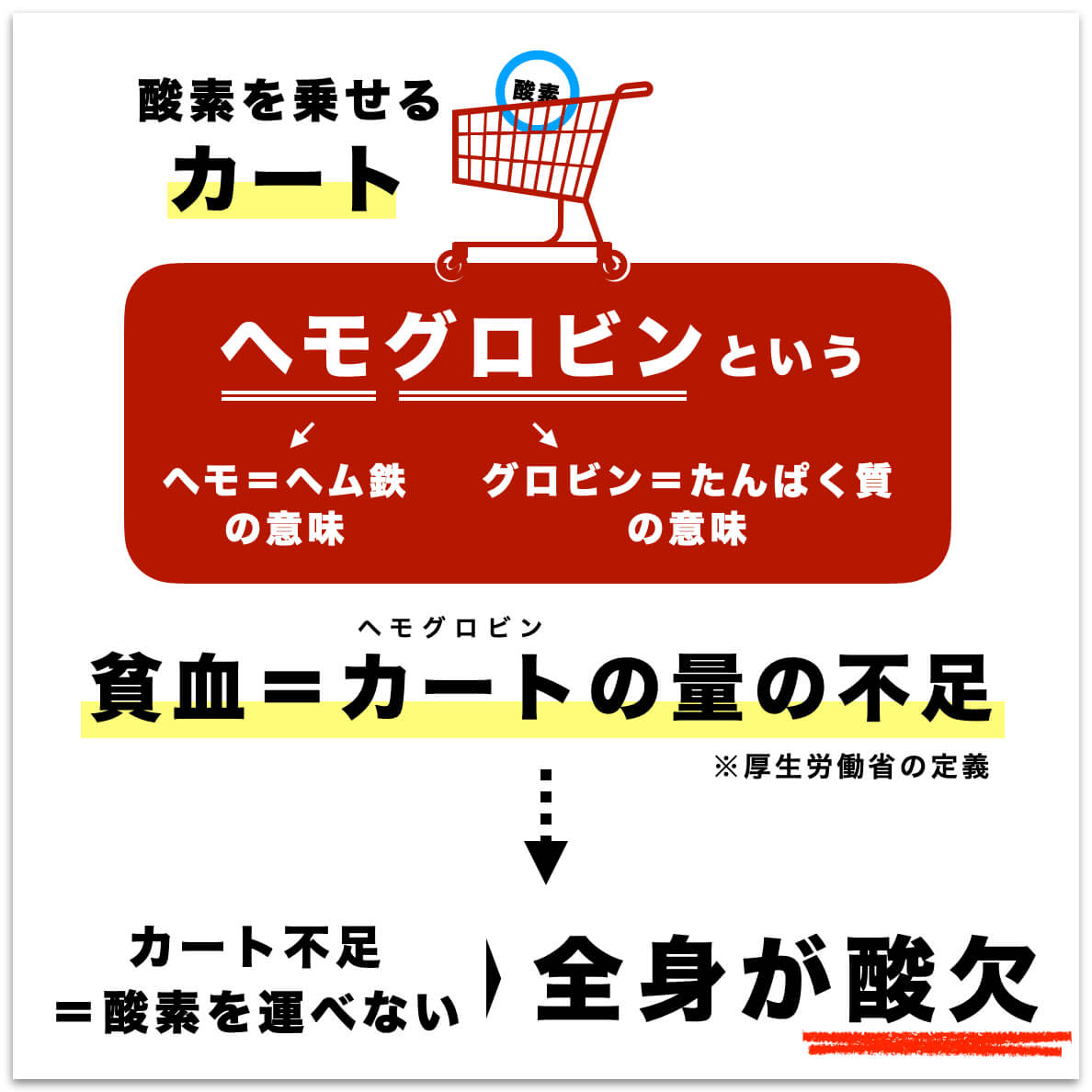 血液の質はヘモグロビンの量できまる