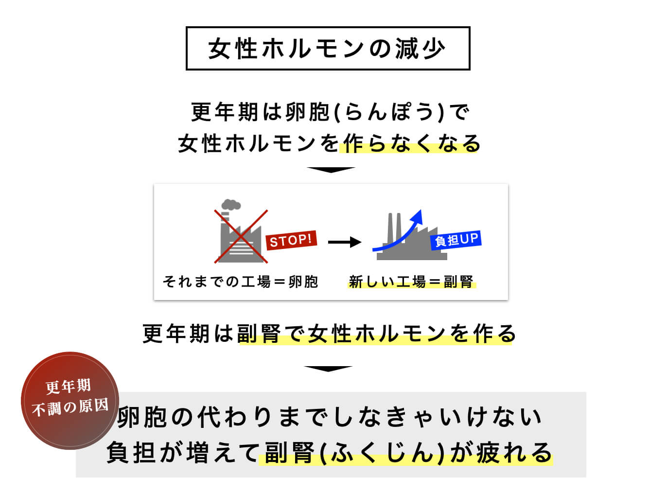 40代50代の更年期のカラダが女性ホルモンを卵胞ではなく副腎で作るようになることを説明する図