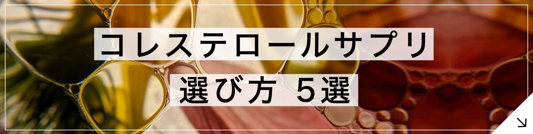 コレステロールサプリ 専門家が教えるサプリ選び方5選 へのボタン