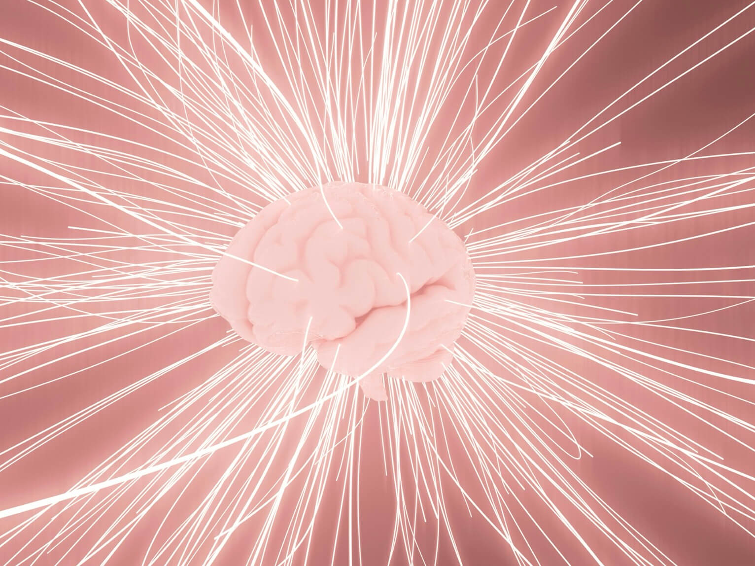 ADHAの脳をイメージした図