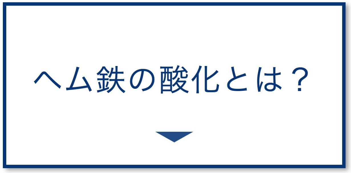 ヘム鉄の酸化とは