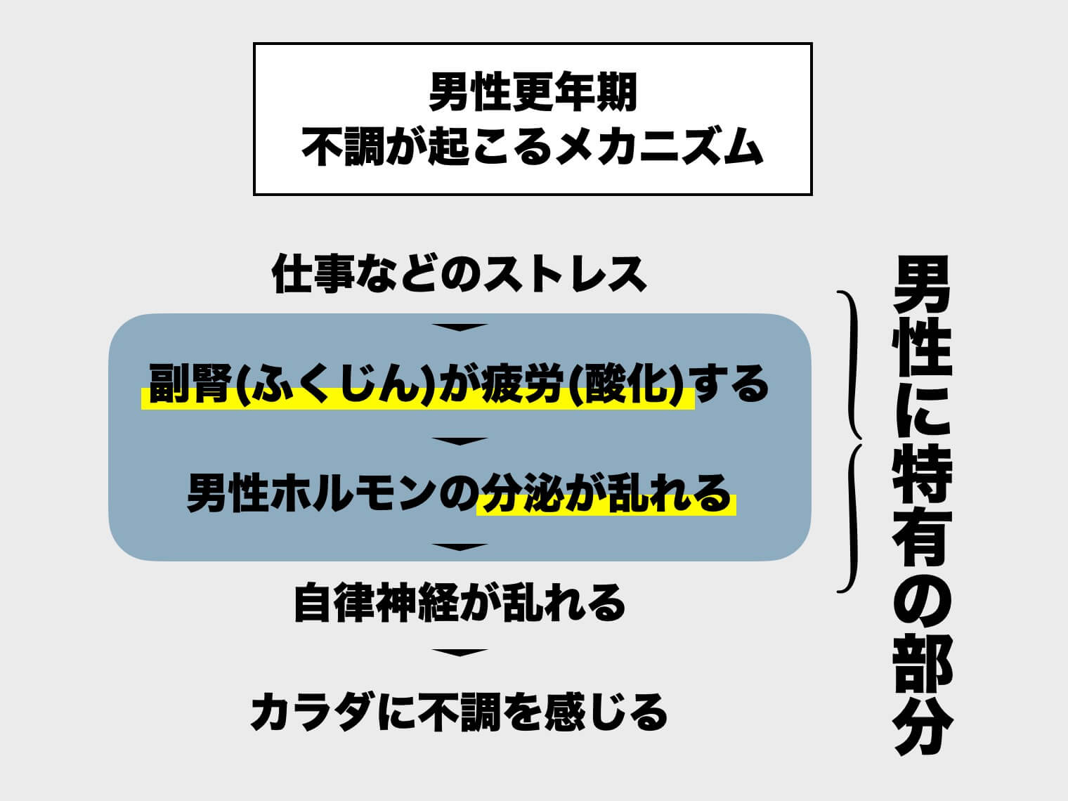 男性更年期のメカニズム