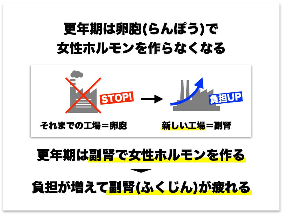 更年期の女性ホルモンをつくる場所は副腎