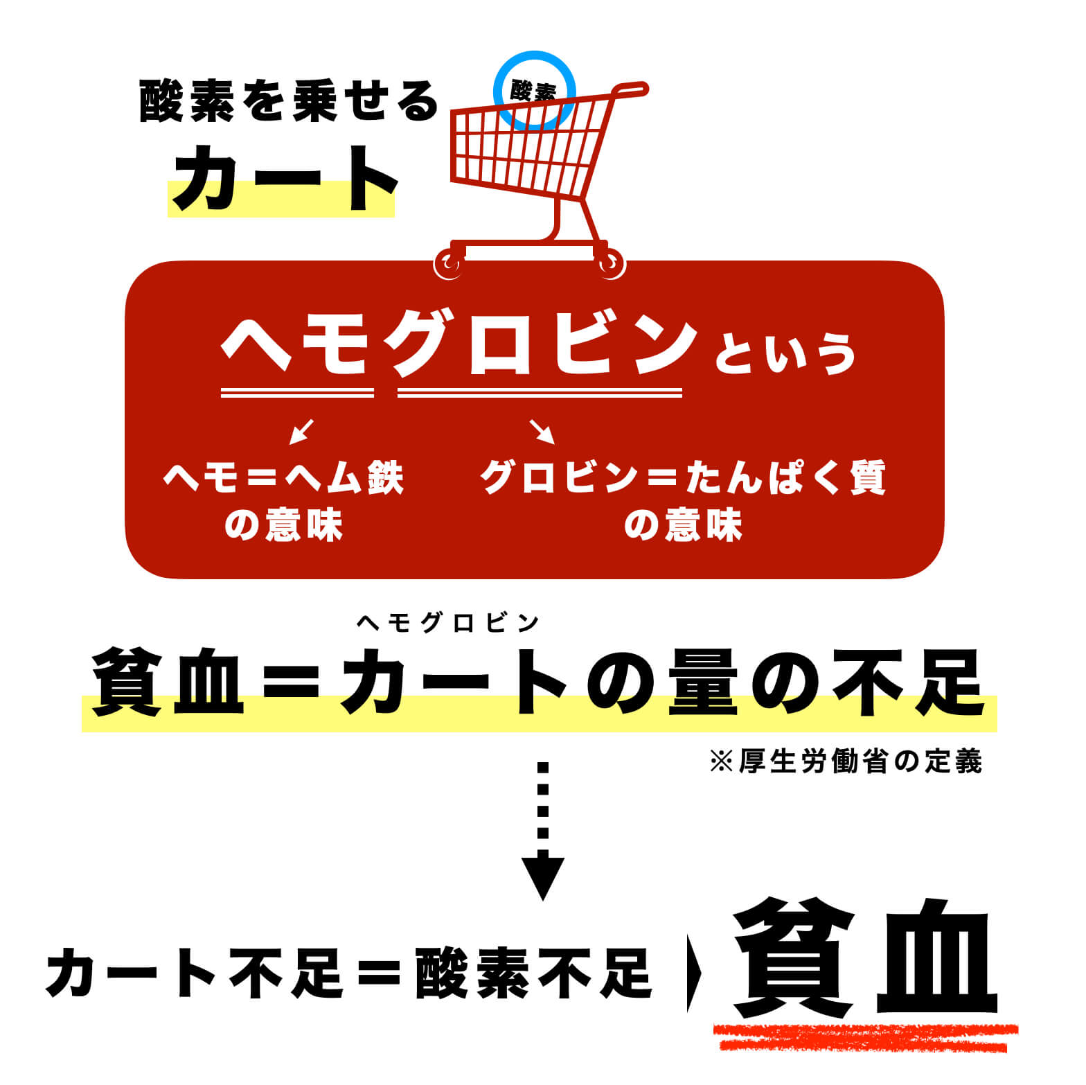 血液中のヘモグロビンは細胞に酸素を届ける