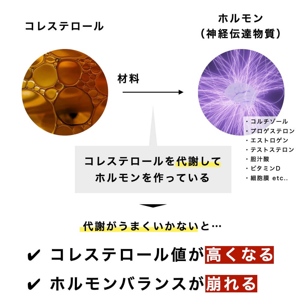 コレステロールを説明している図