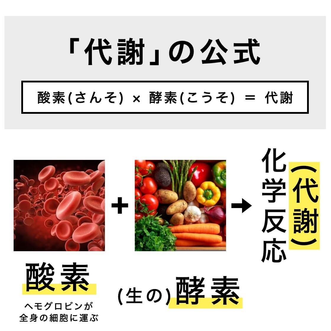 カラダで行われる代謝の説明の図