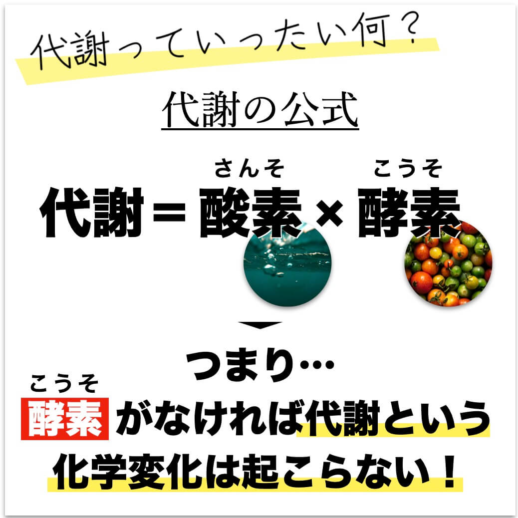 代謝には酵素と酸素が必要