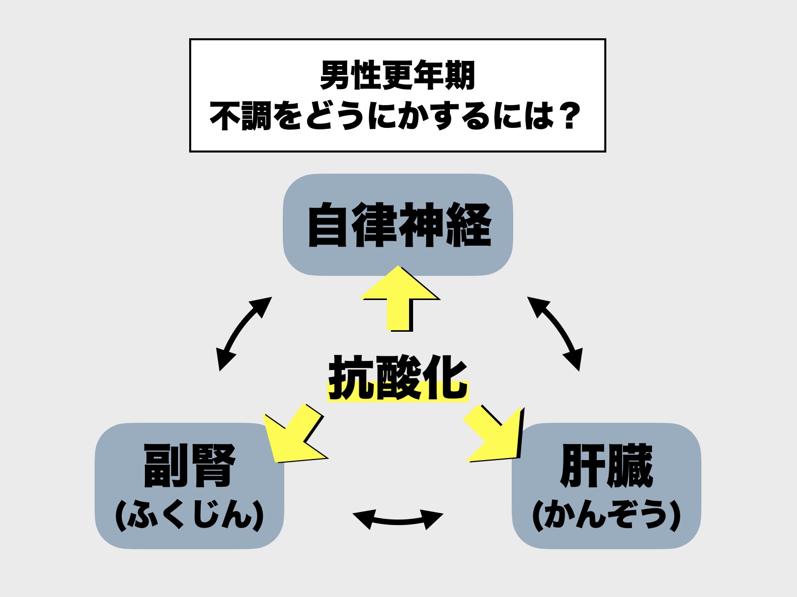 男性更年期の不調改善のイメージ