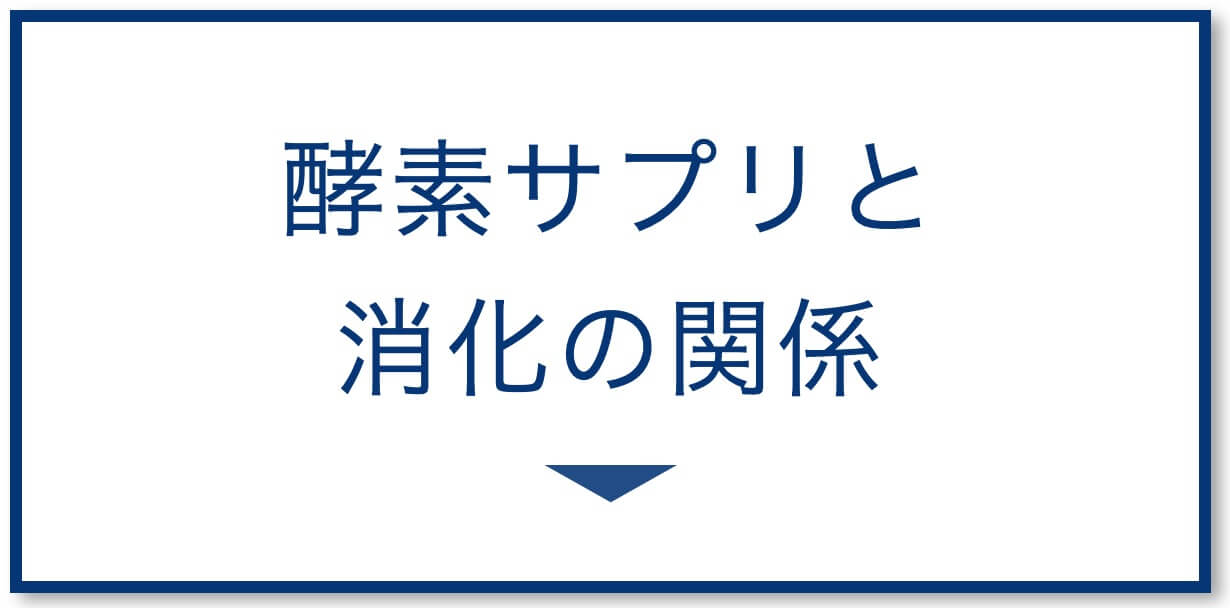 酵素サプリと消化の関係