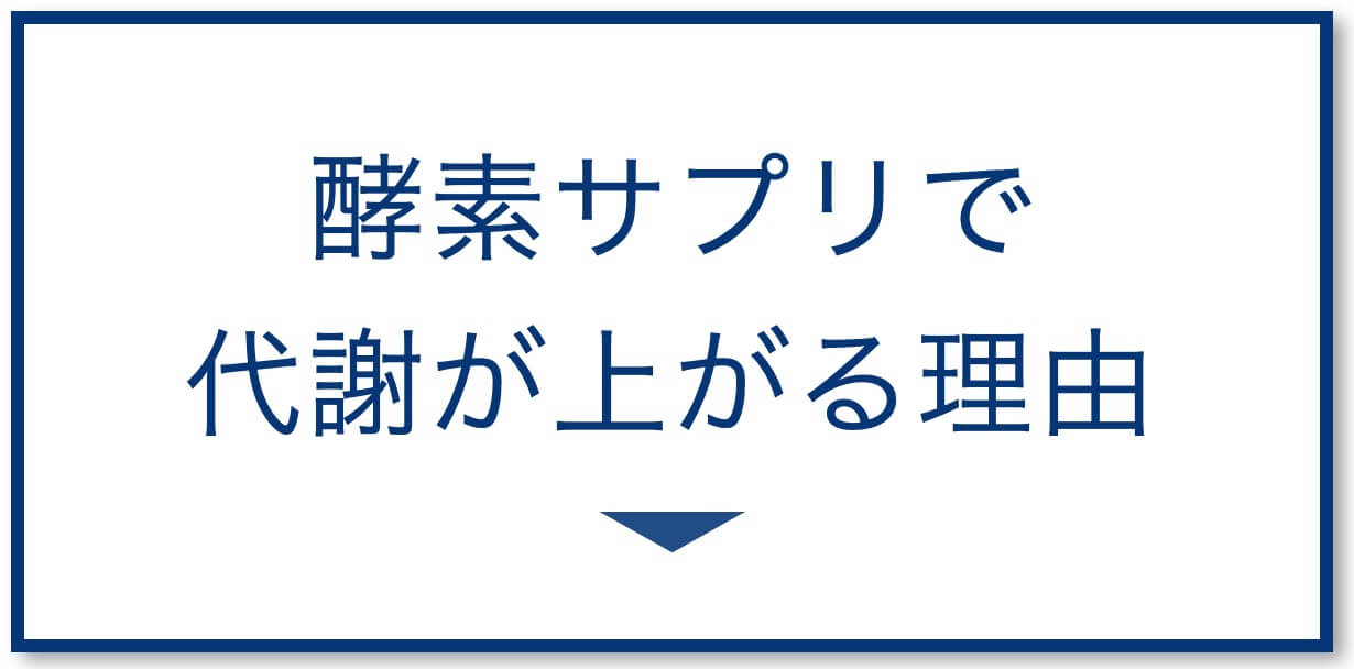 酵素サプリで代謝が上がる理由