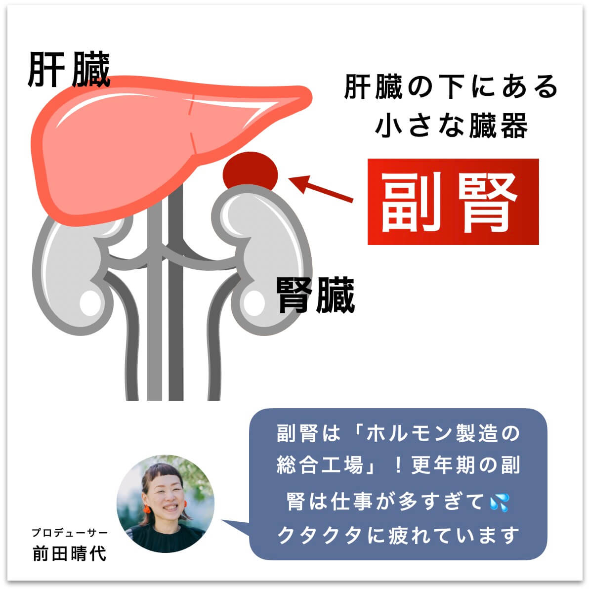 副腎を説明している図