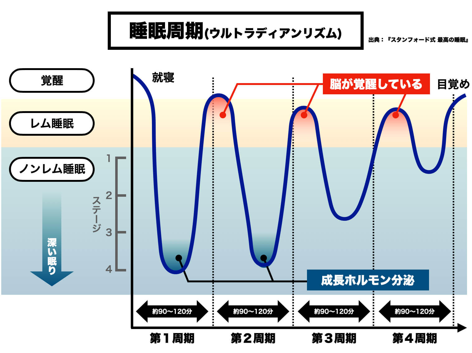 成長ホルモンの分泌とノンレム睡眠の関係を説明する図
