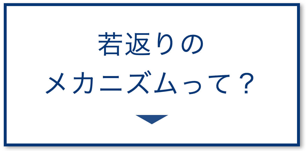 若返りのメカニズム