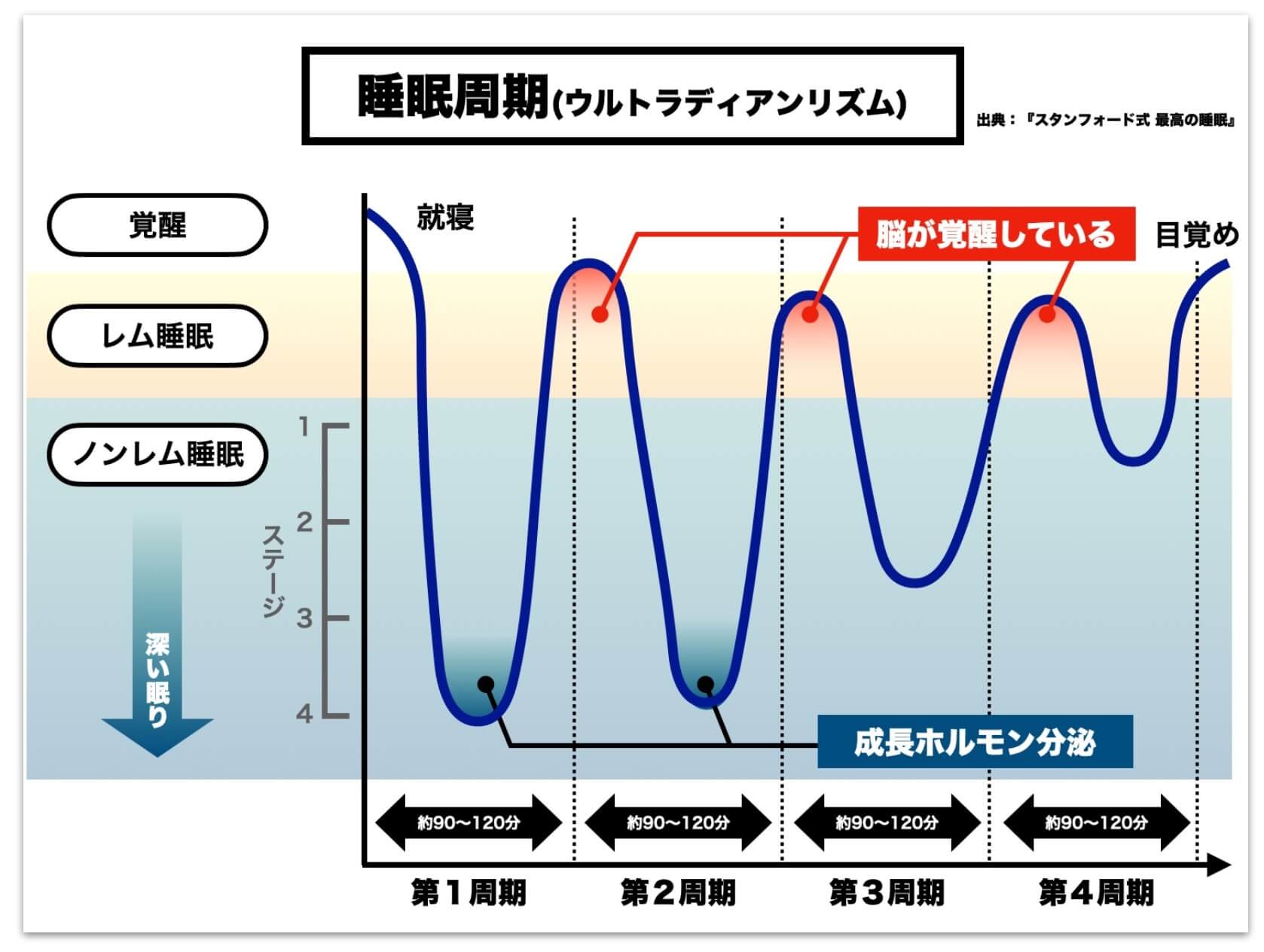 レム睡眠とノンレム睡眠