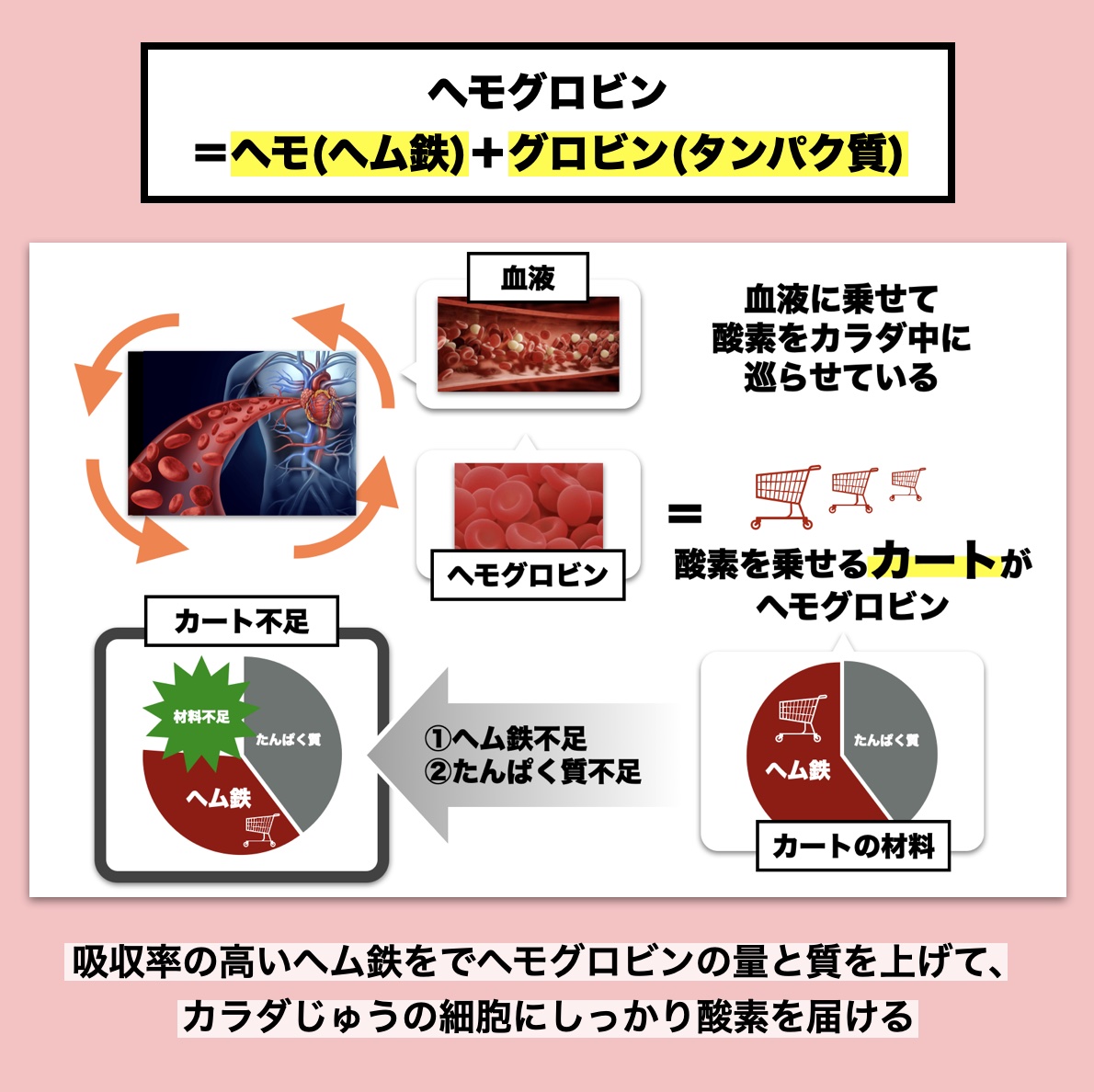 ヘモグロビンの材料はタンパク質とヘム鉄だと説明しているイメージ