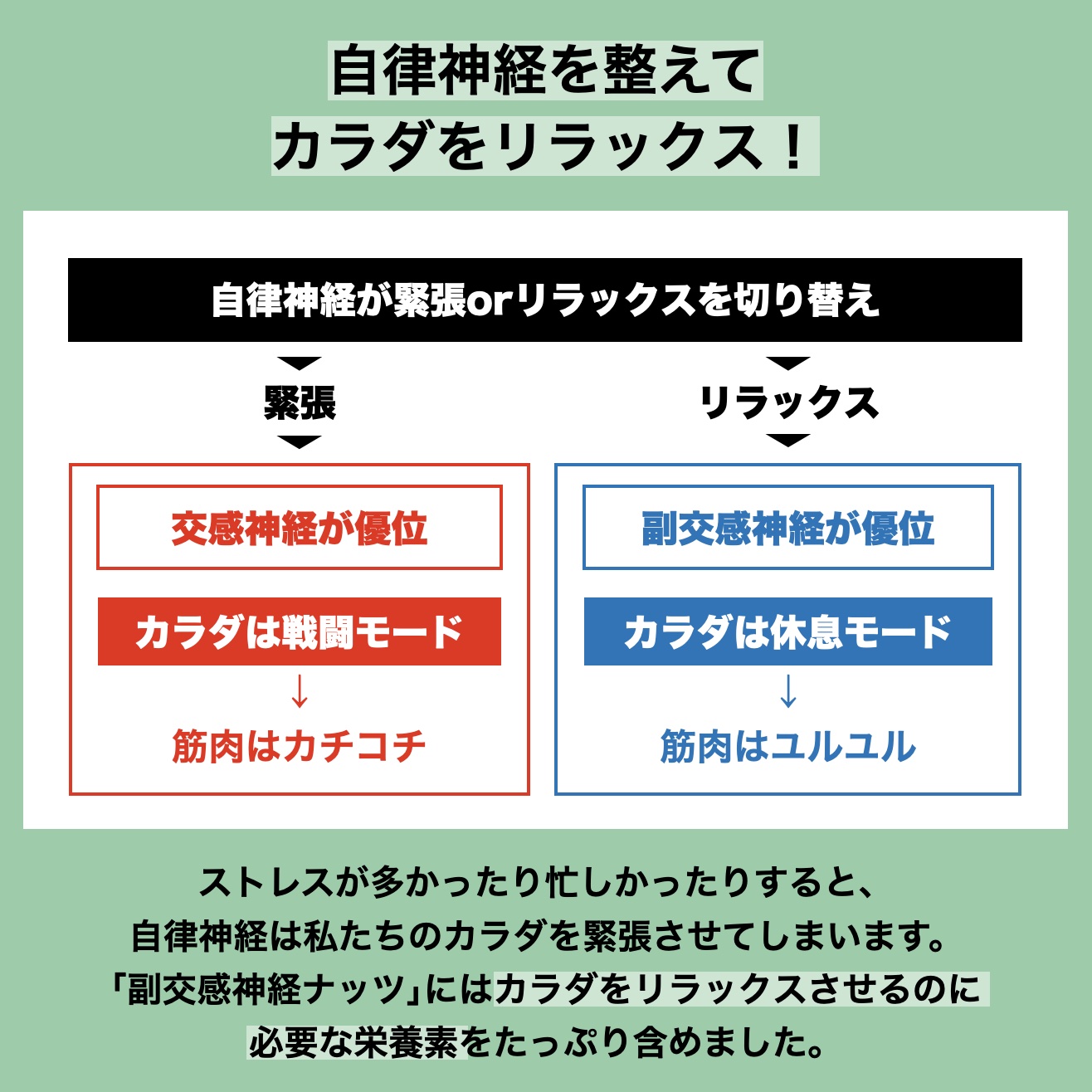 副交感神経ナッツに含まれるマグネシウムが自律神経を整える働きがあることを説明しているイメージ