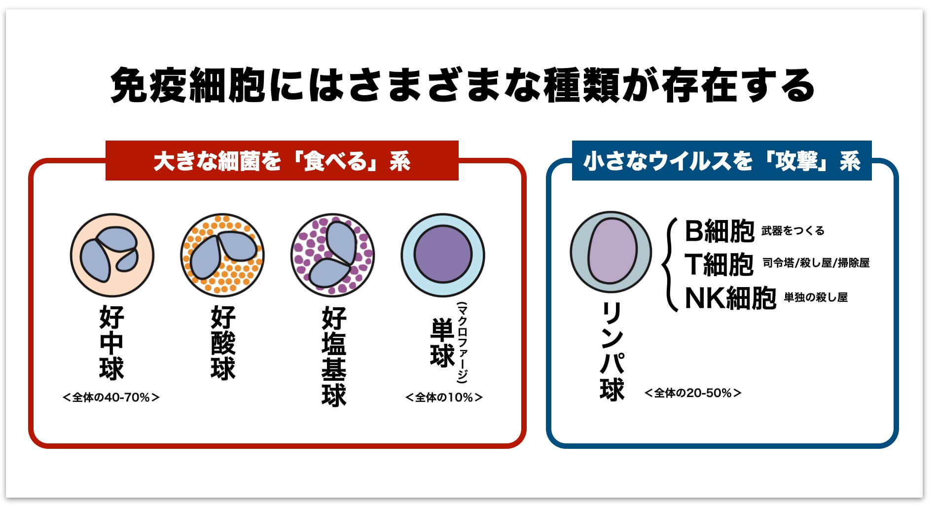 免疫の種類