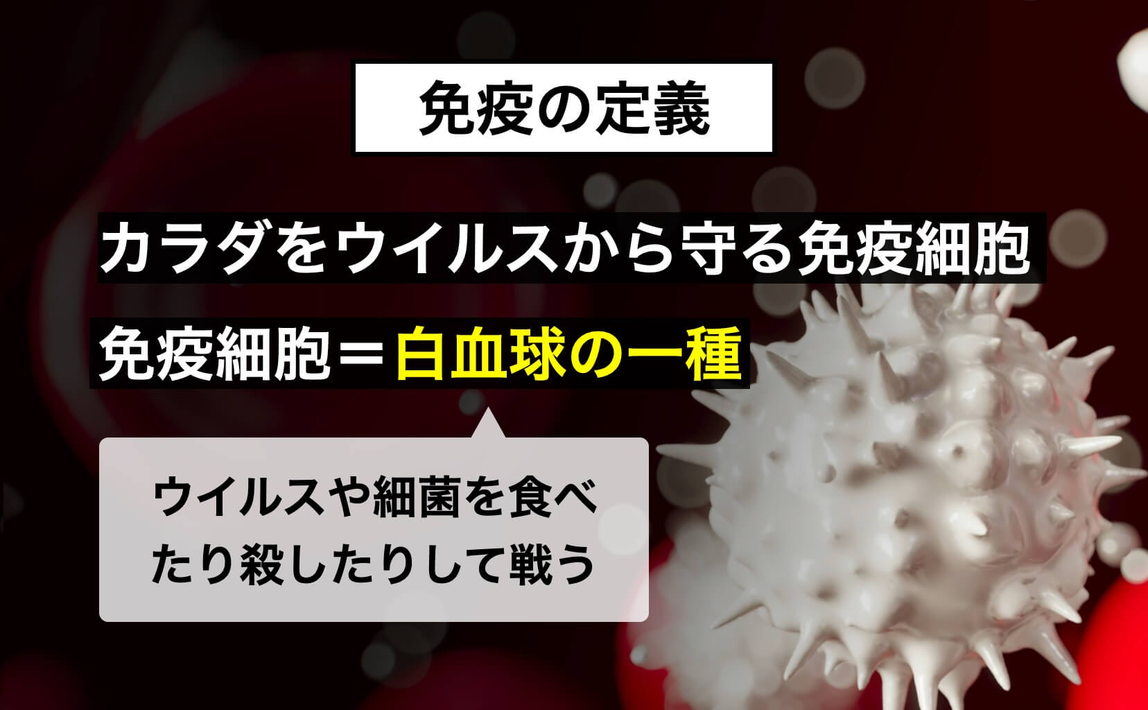 免疫細胞は白血球の一種だと説明