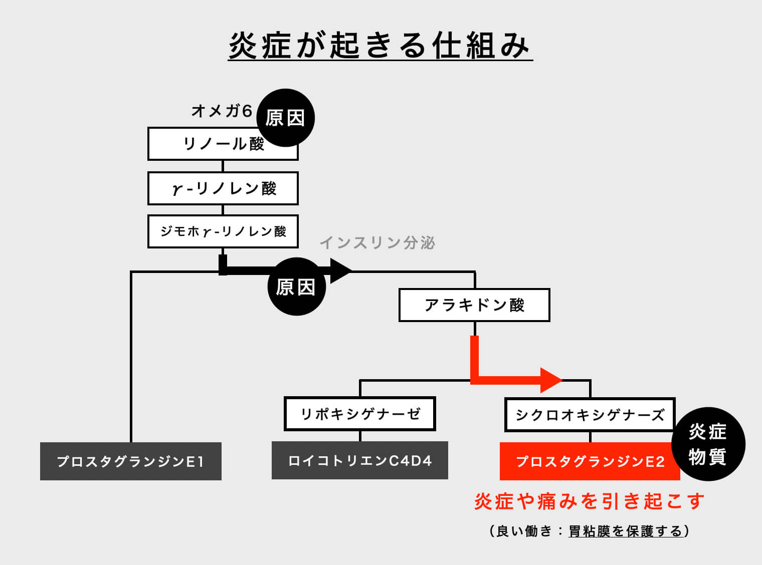 “炎症が起こる体の仕組みについて説明している図”