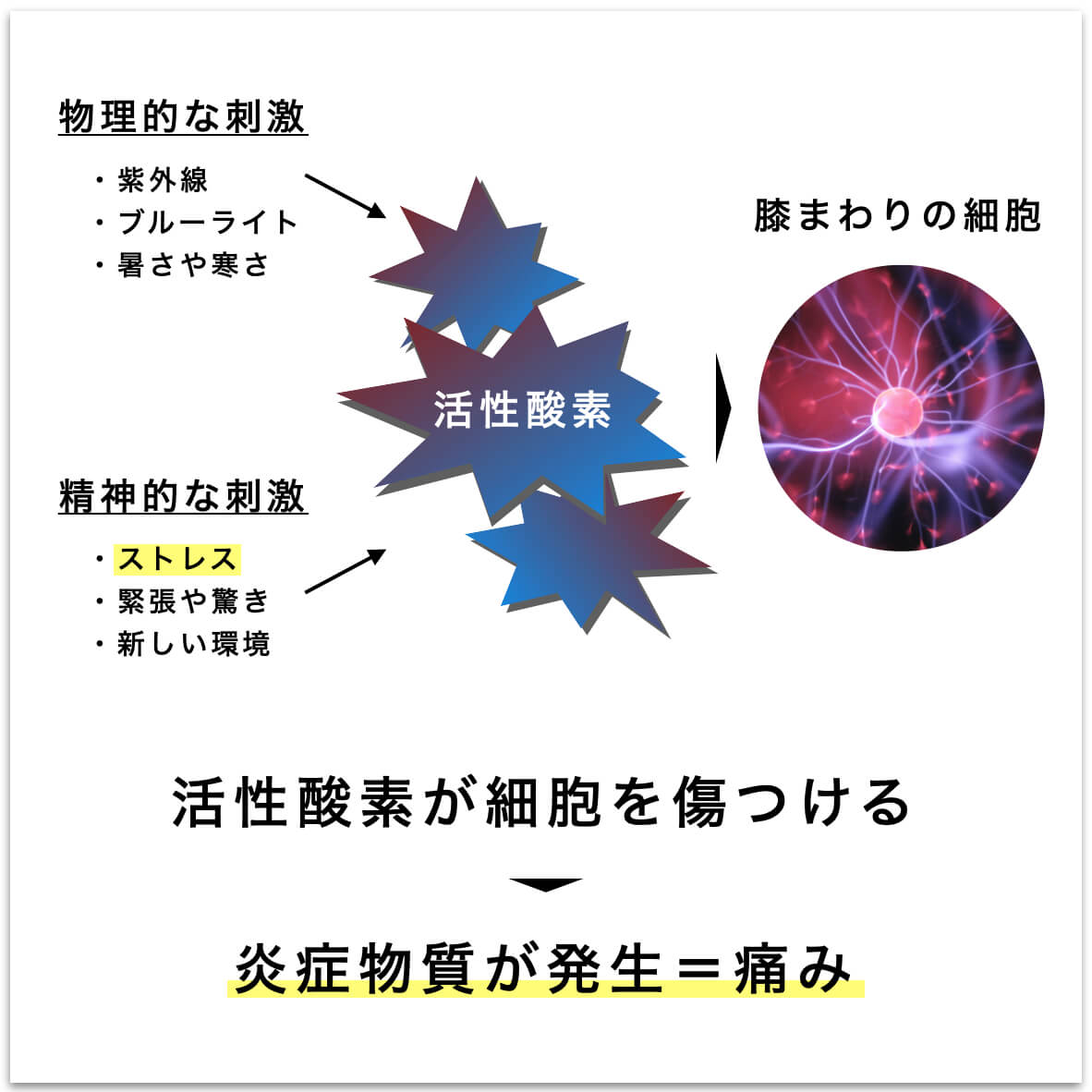 活性酸素が細胞を傷つける画像