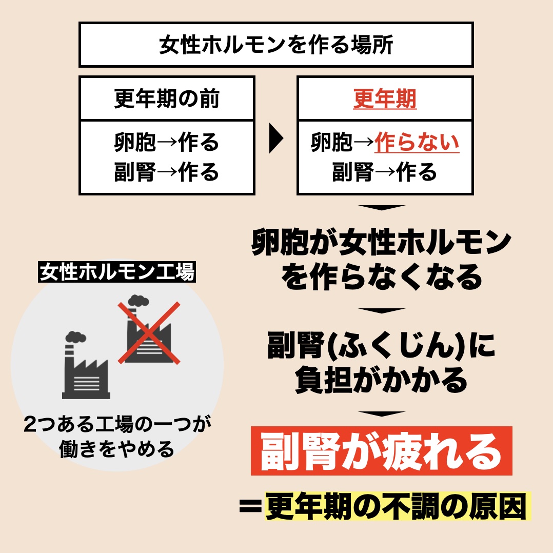 更年期になるとカラダで女性ホルモンがどう作られるか説明している図イメージ