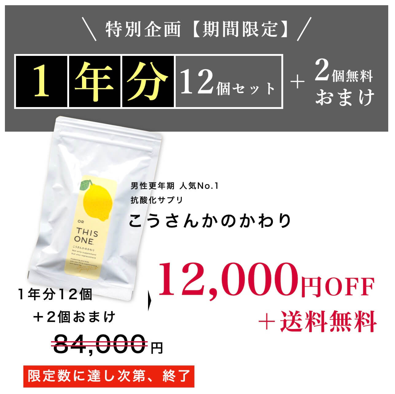 限定品こうさんかのかわり１２個＋２個セット
