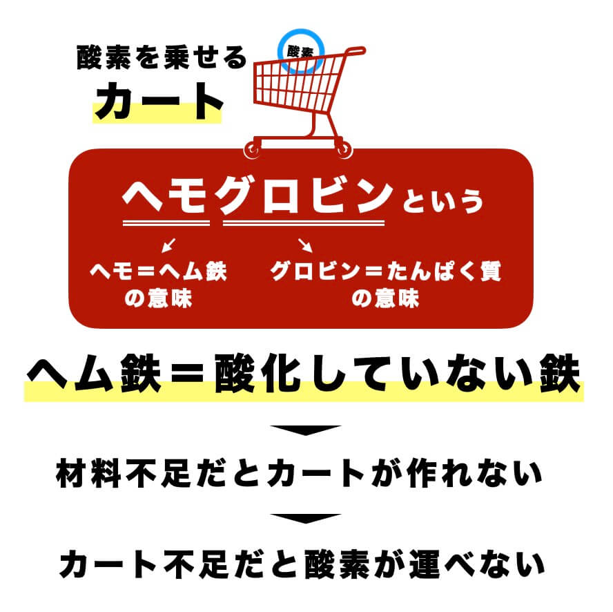 ヘモグロビンの説明をしている図