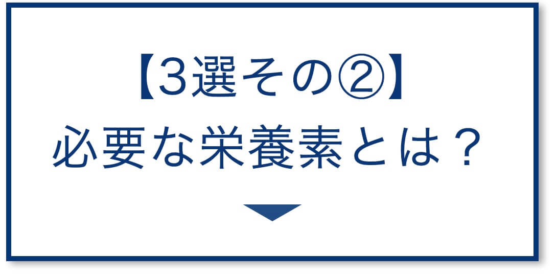 【3選その②】必要な栄養素とは？