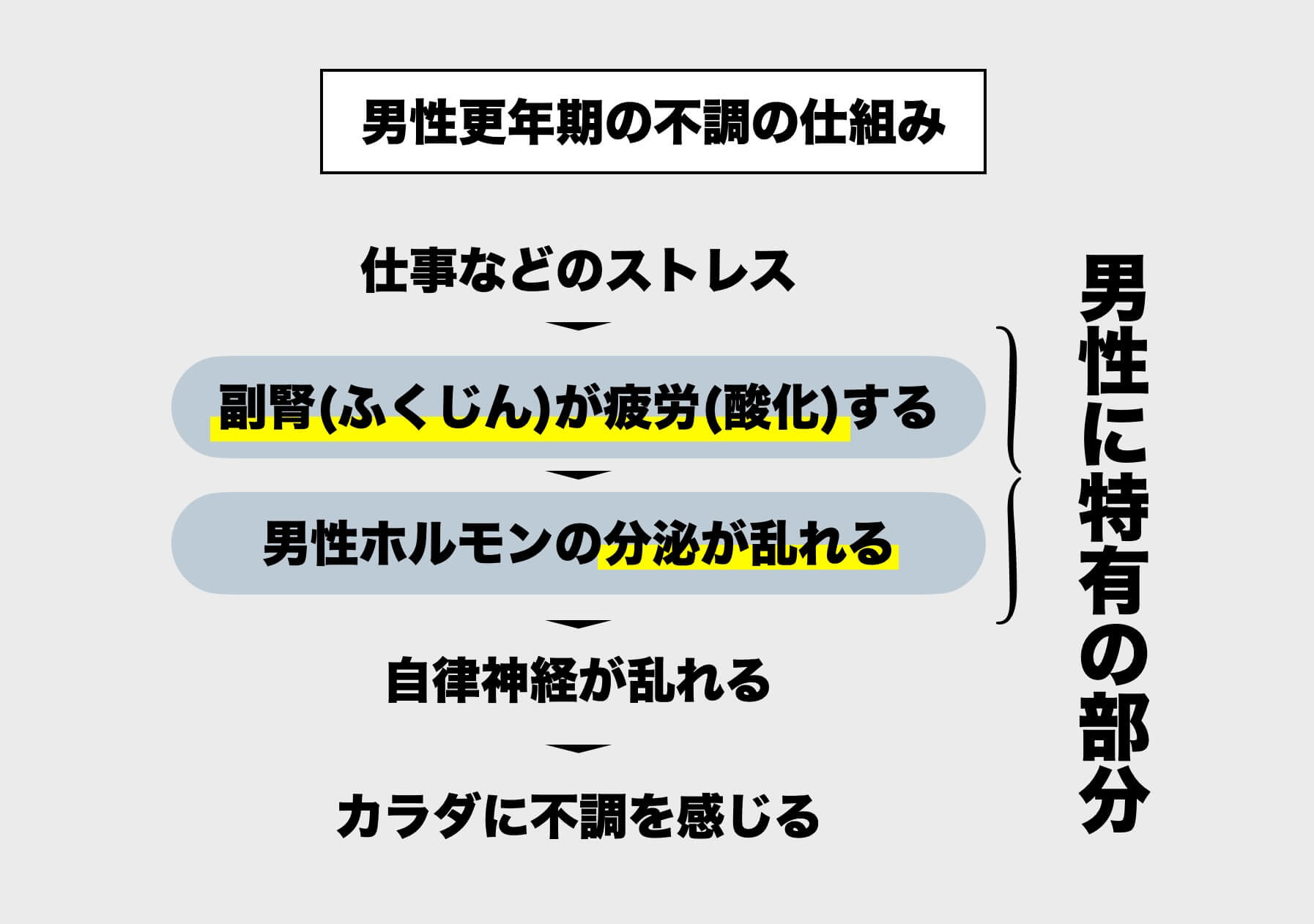 男性更年期疲労が起こる仕組みを説明する図