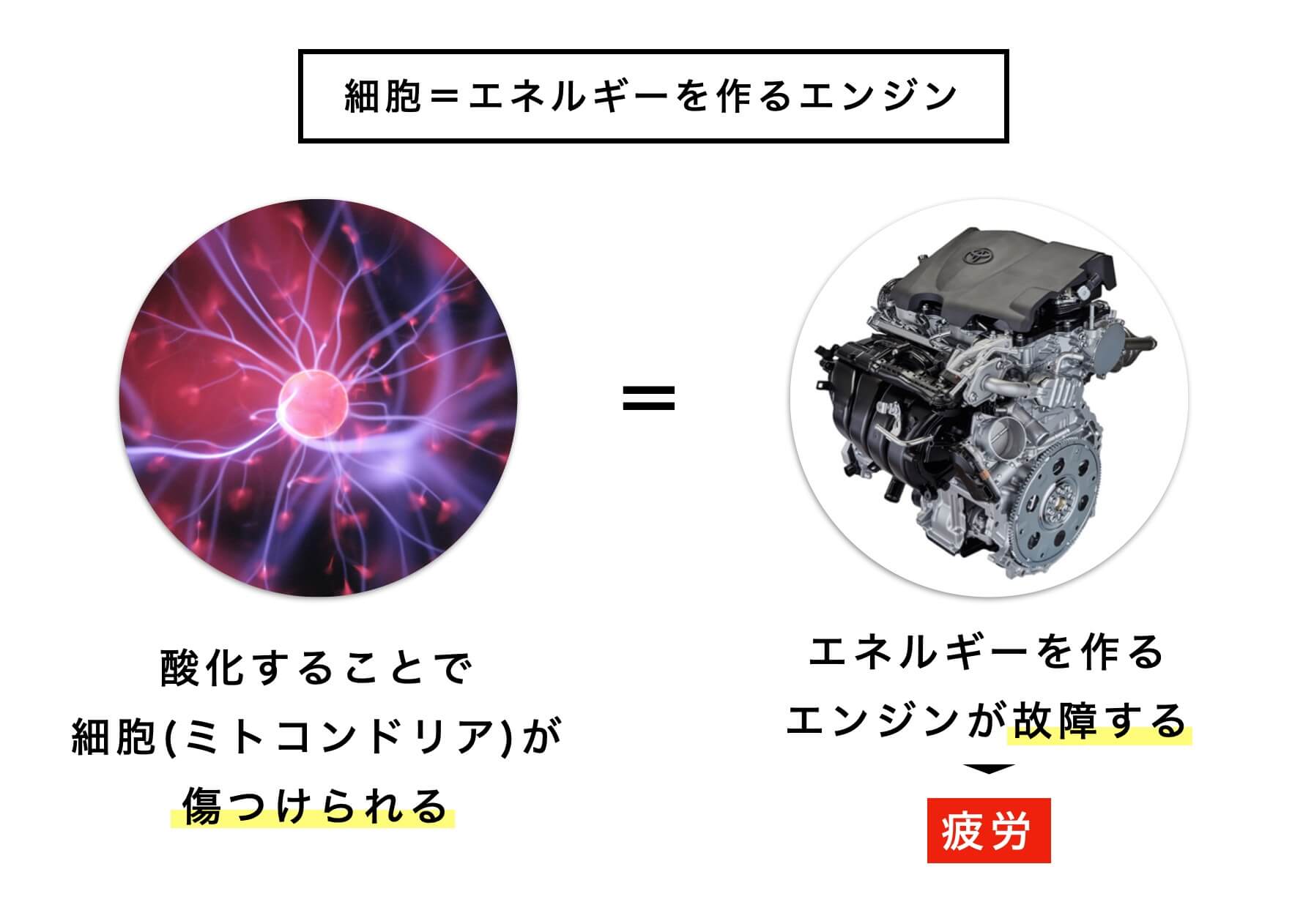 更年期におこるストレスが原因の疲労のメカニズムを説明する画像