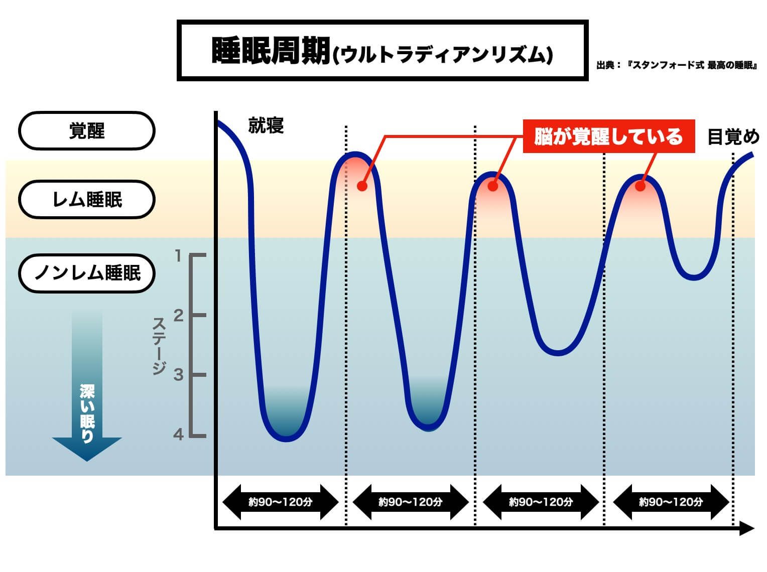 ノンレム睡眠とレム睡眠の説明画像