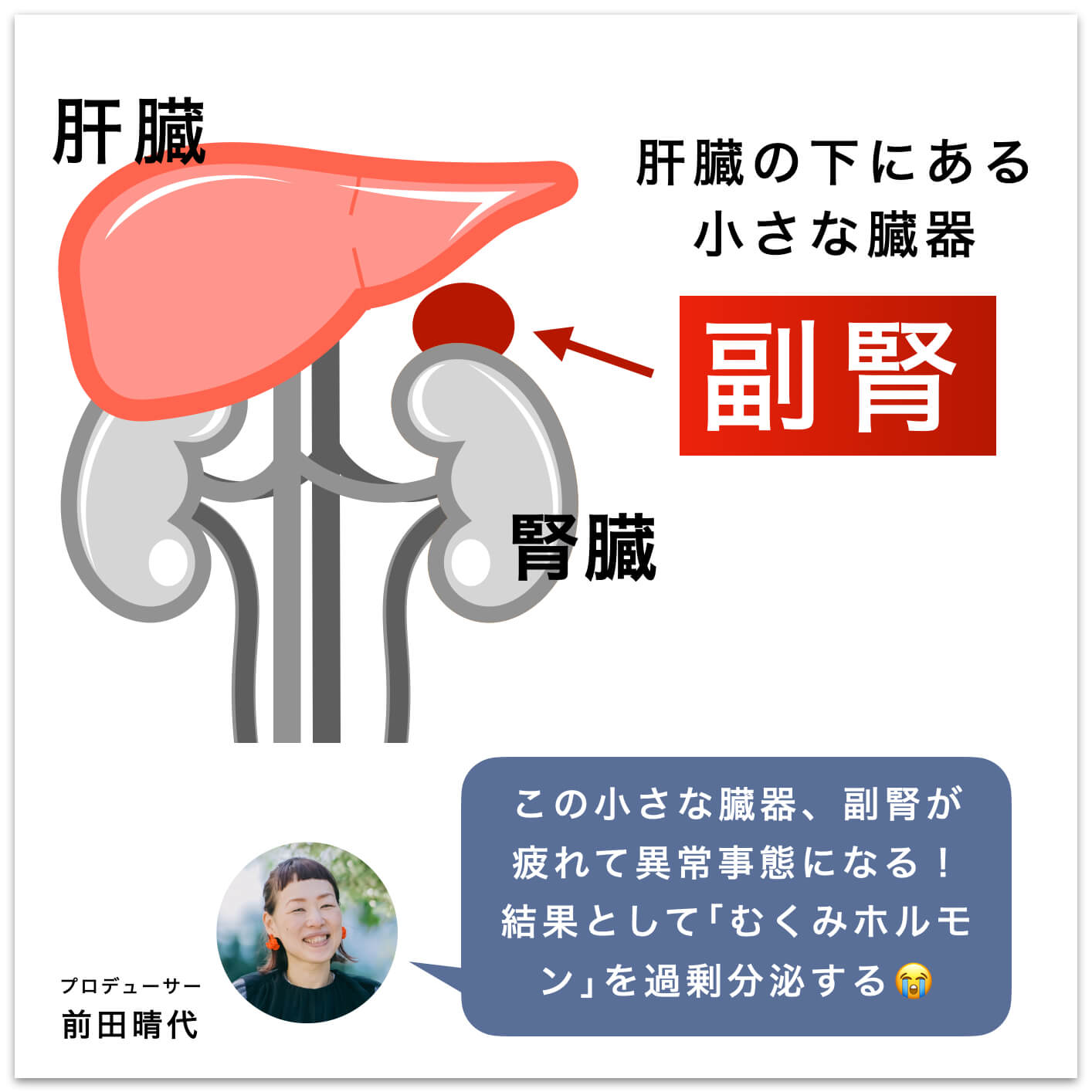 更年期に疲れやすい副腎