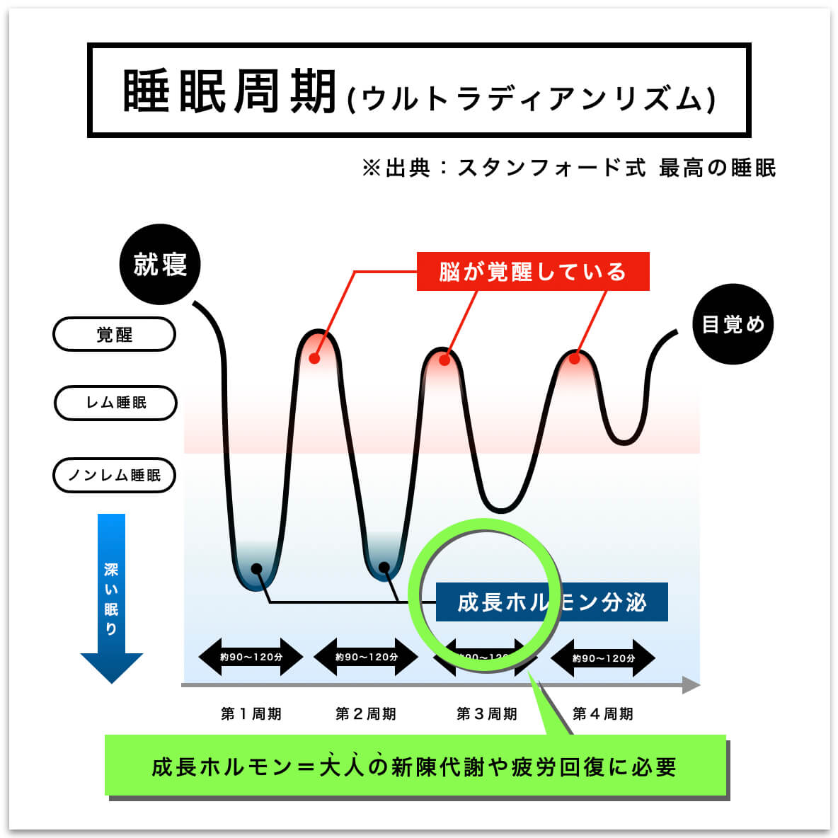 睡眠周期を説明した図